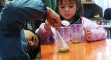 Profesoras dan inicio a experiencias científicas en educación de pre escolar y primer ciclo