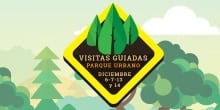 Te invitamos a recorrer los senderos del Parque Urbano El Bosque