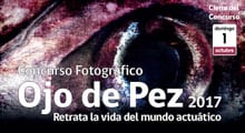 En el mes de la fotografía: concurso Ojo de Pez lanza su cuarta versión