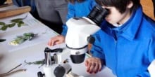 Conoce a los cursos ganadores del Álbum Biomimética para la Región de Los Ríos