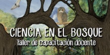Conoce a los docentes seleccionados a "Ciencia en el Bosque"