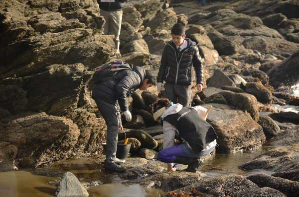 Estudiantes conocieron especies de las playas valdivianas