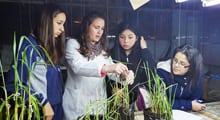 Explora y DID UACh invitan a trabajar con científicos escolares en Abramos Nuestros Laboratorios