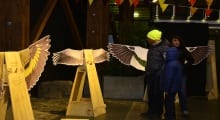 PAR Explora de CONICYT Los Ríos Inauguró Expo Itinerante “Ornithes: una travesía al mundo alado”