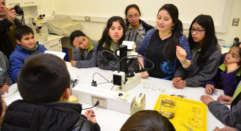 Abren postulaciones para pasantías escolares en laboratorios de la Universidad Austral de Chile