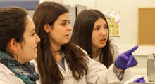 Estudiantes de Panguipulli investigaron microalgas antárticas y su tolerancia a altas temperaturas