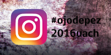 Muestra la belleza de los ecosistemas acuáticos en Instagram