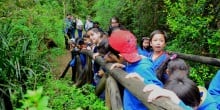 Explora Los Ríos cierra un exitoso año con visitas al Parque Urbano El Bosque