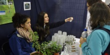 Congreso Regional Explora llenará de ciencia el Parque Saval