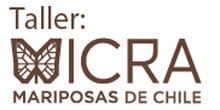 Ven a aprender sobre mariposas de Chile en un nuevo taller