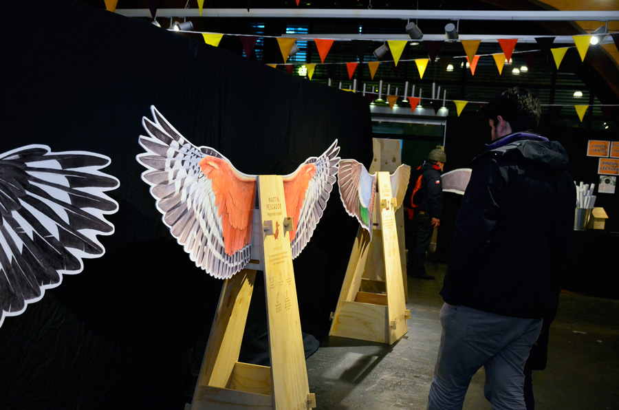Exposición Ornithes llegará este verano a la Reserva Biológica Huilo Huilo