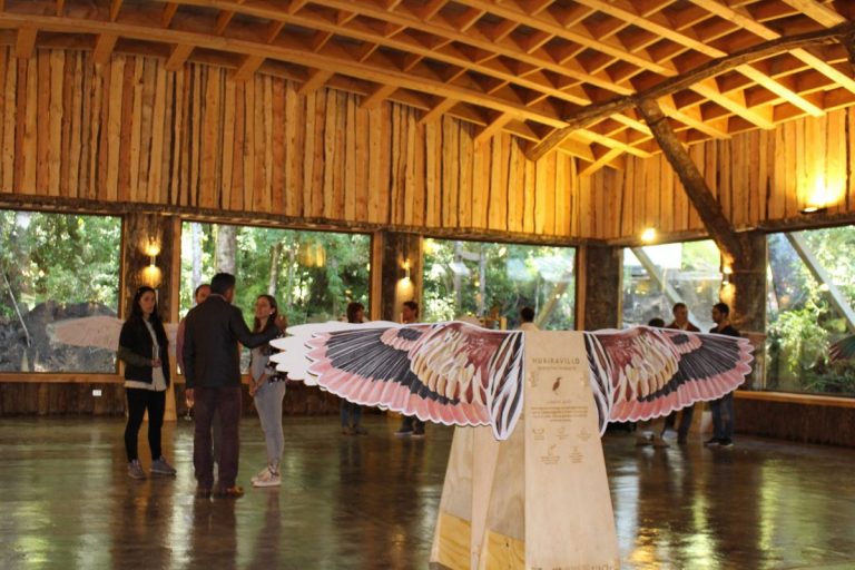 Inauguramos la exposición Ornithes en la Reserva Biológica Huilo Huilo