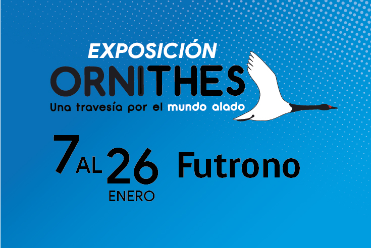 Exposición Ornithes en Futrono