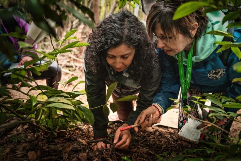 Campamento Explora VA! para docentes cierra con exitosa evaluación