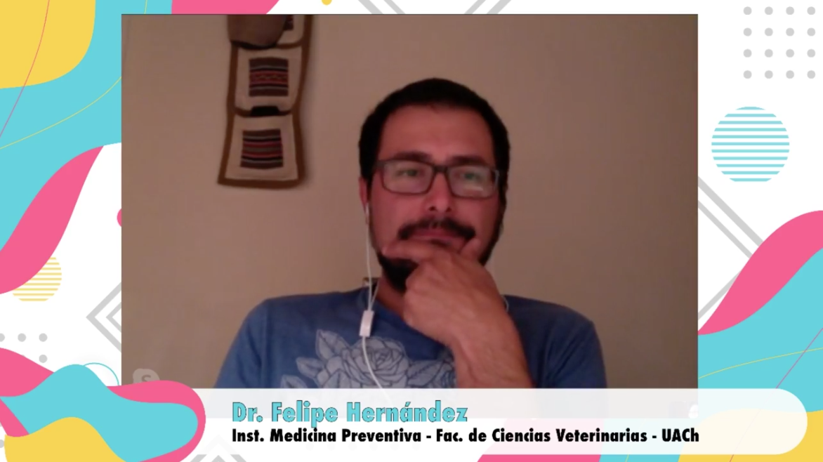 ¿Qué es la Zoonosis y cómo nos enferman los animales?