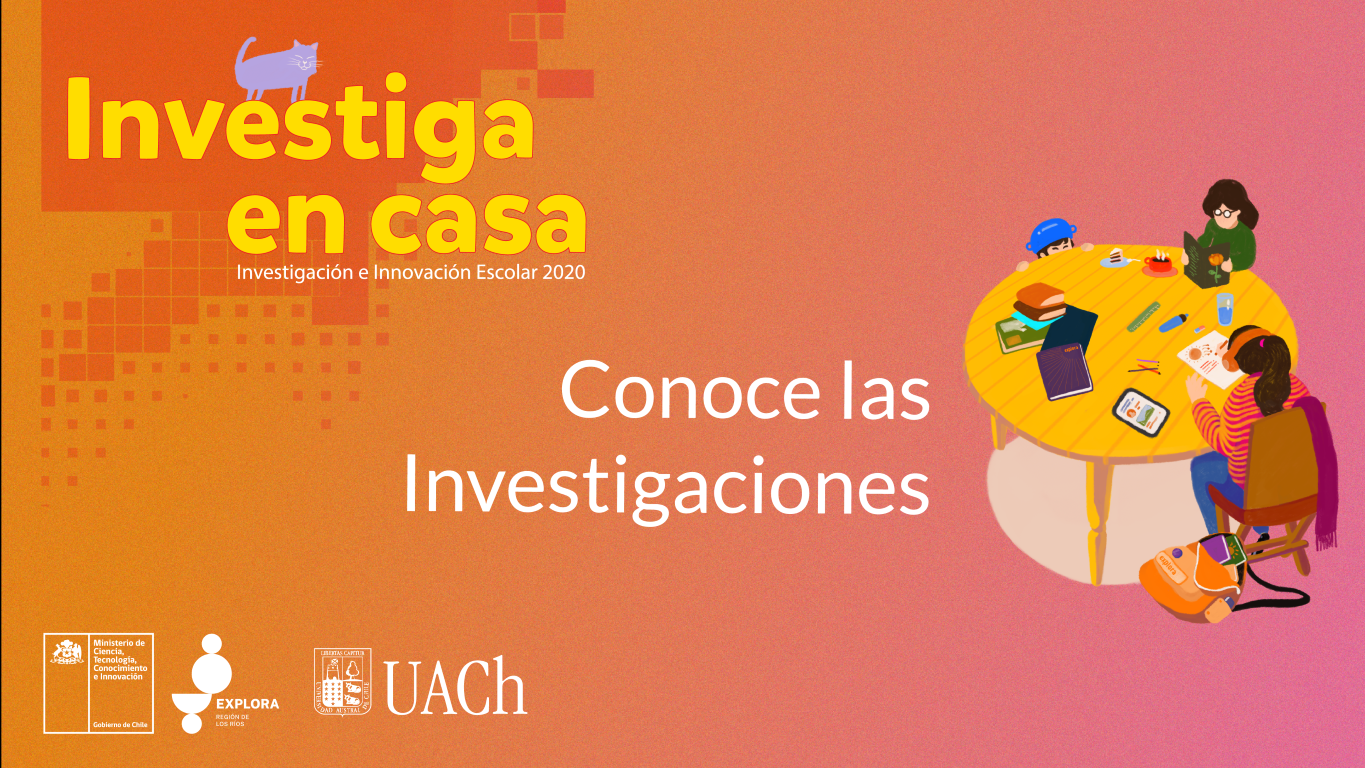 Investigaciones Escolares 2020
