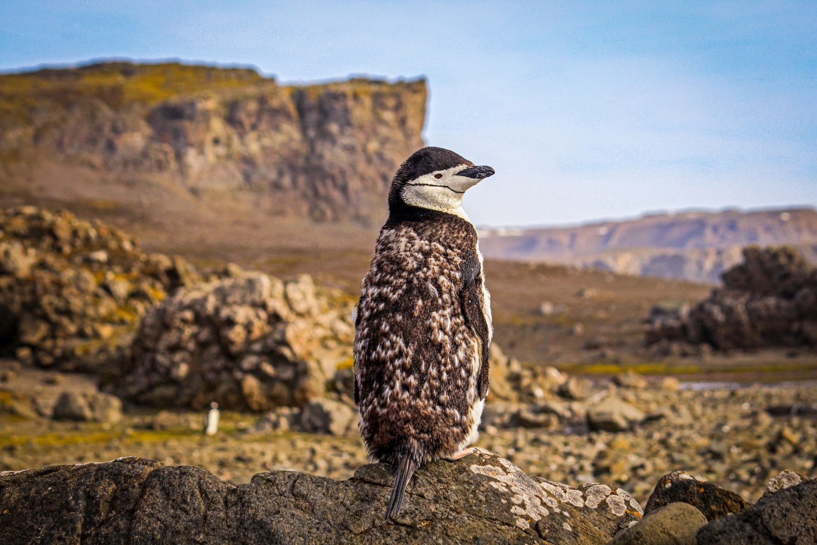 Una  semana más para participar del Concurso Fotográfico Ojo de Pez 2021