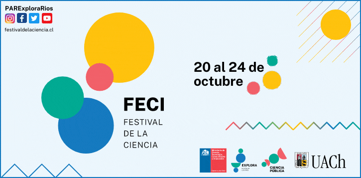 Programación FECI 2021