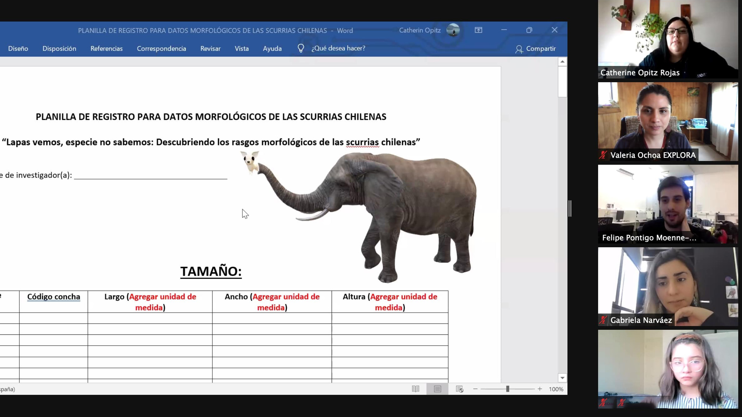 Escolares investigan y hacen ciencia en sus aulas virtuales