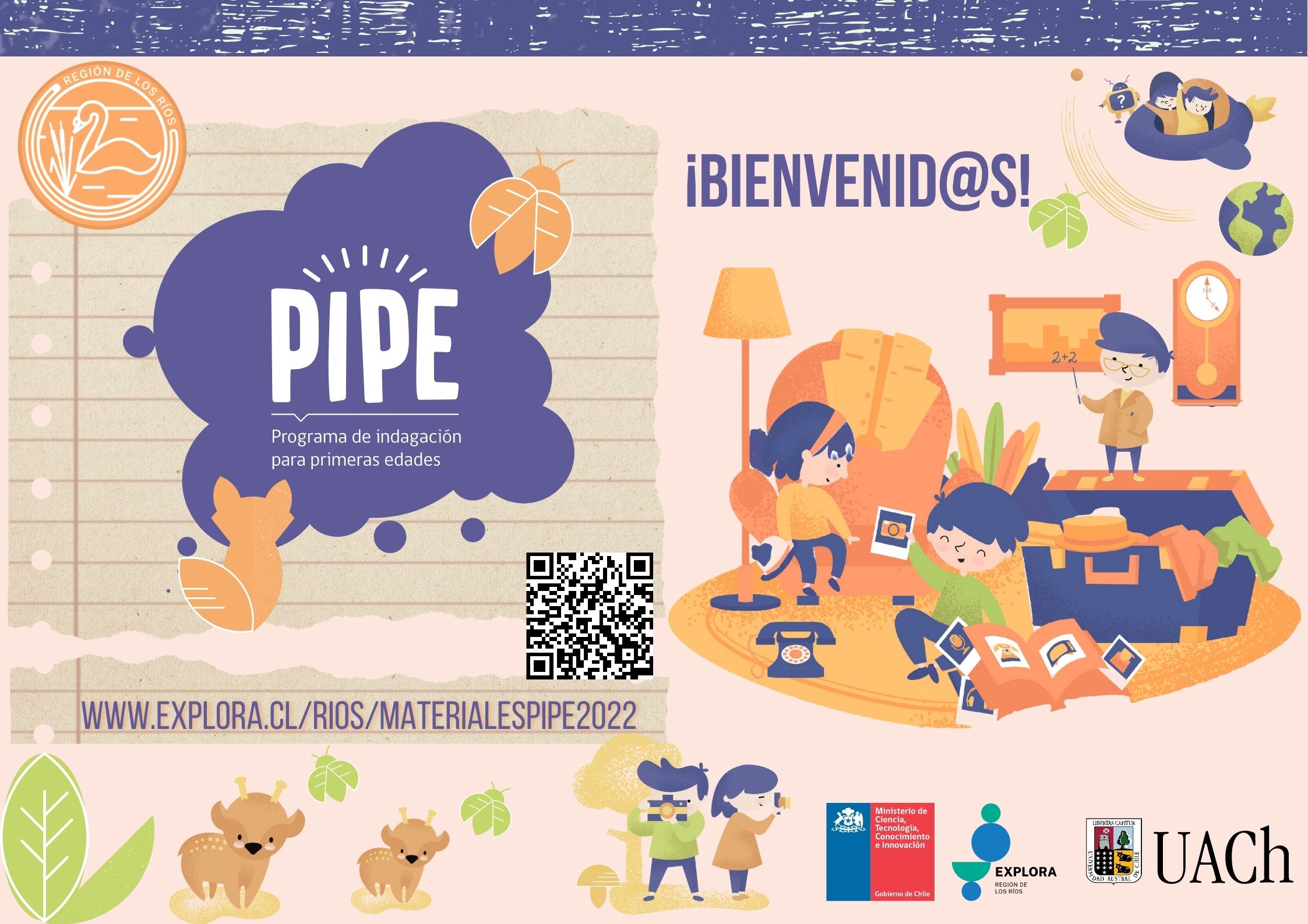 PIPE 2022: Materiales