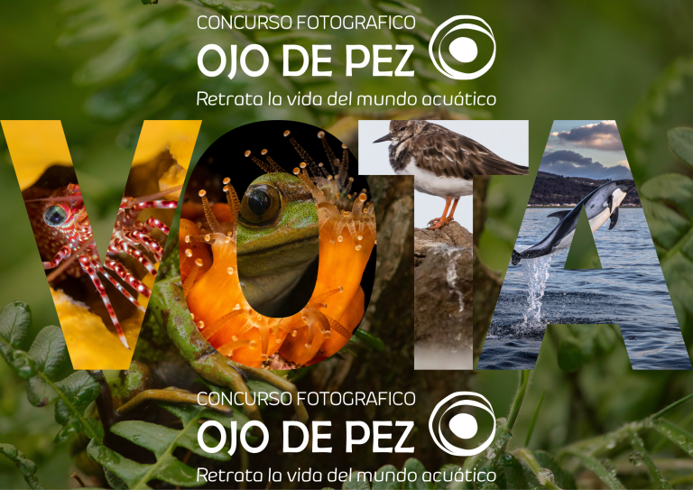 Ojo de Pez 2022 abre su votación popular e invita a su Expo-virtual