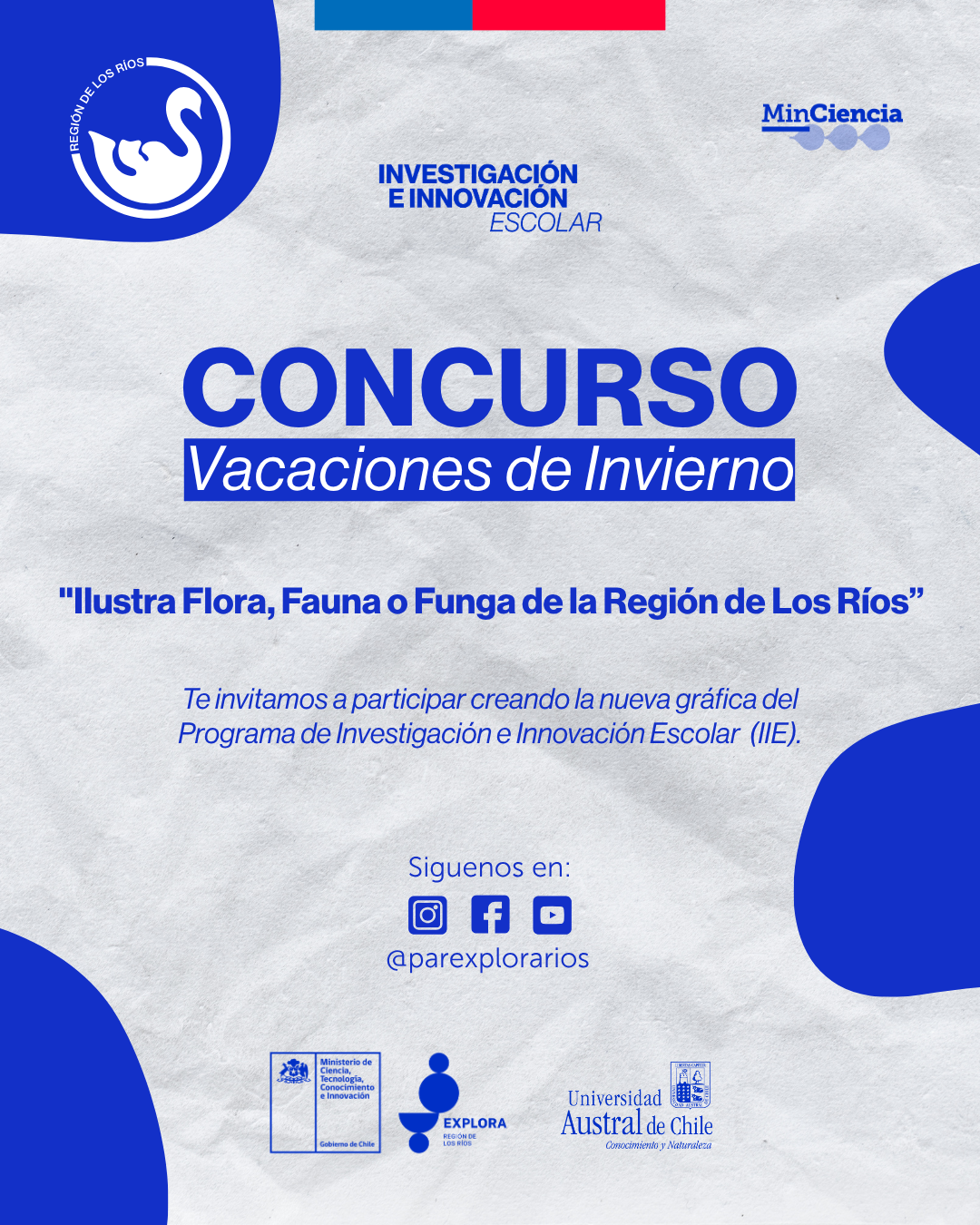 Participa del Concurso “Ilustra Flora, Fauna o Funga de la Región de Los Ríos”