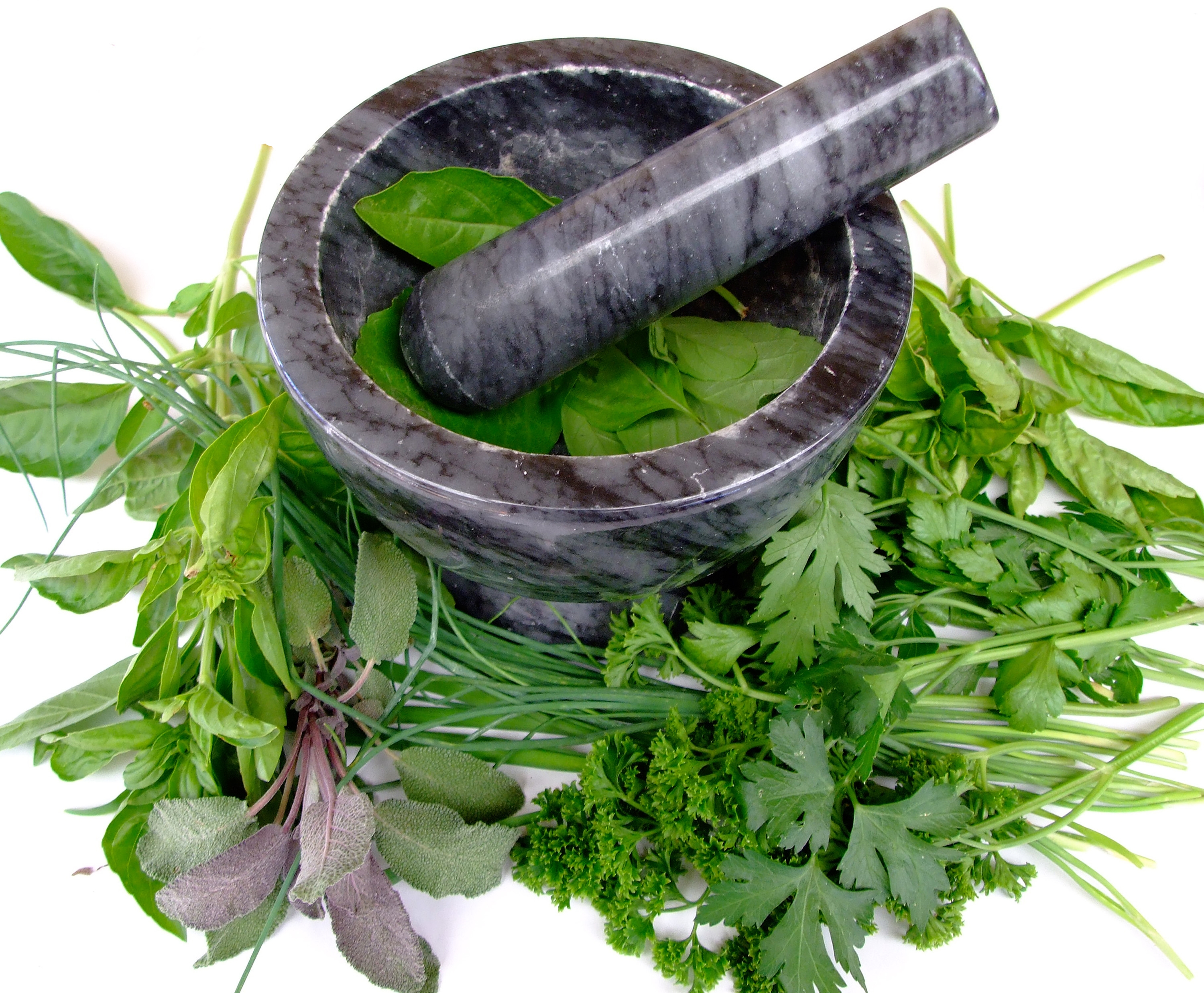 Participa en el Taller de Plantas Medicinales
