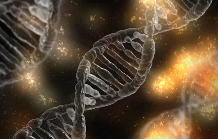 Edición Genética, la modificación de nuestros genes ya no es ciencia ficción