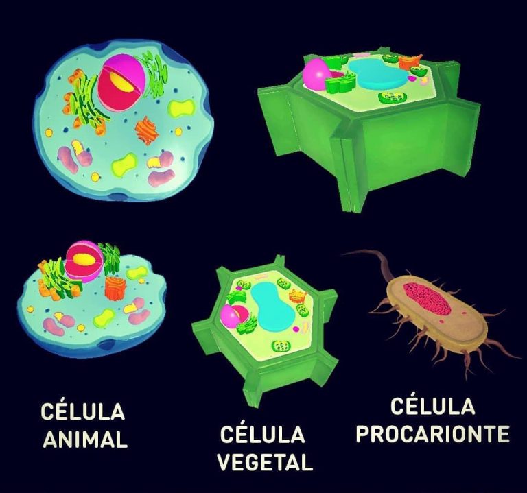 Realidad aumentada, el cruce entre el mundo real y el digital
