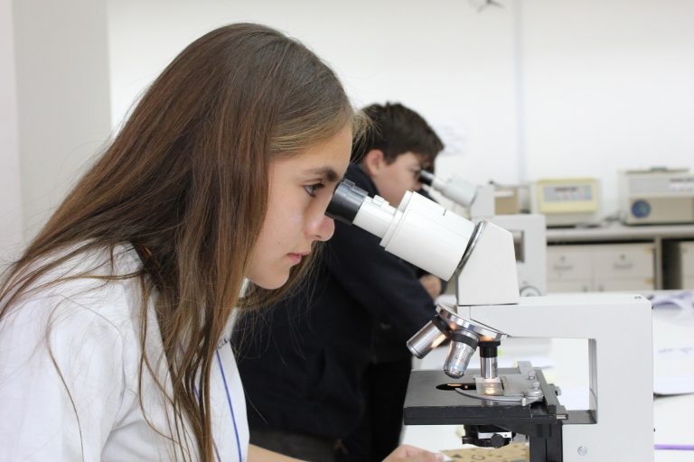 Explora RM Norte – ACCDiS inicia las convocatorias para sus actividades del 2021