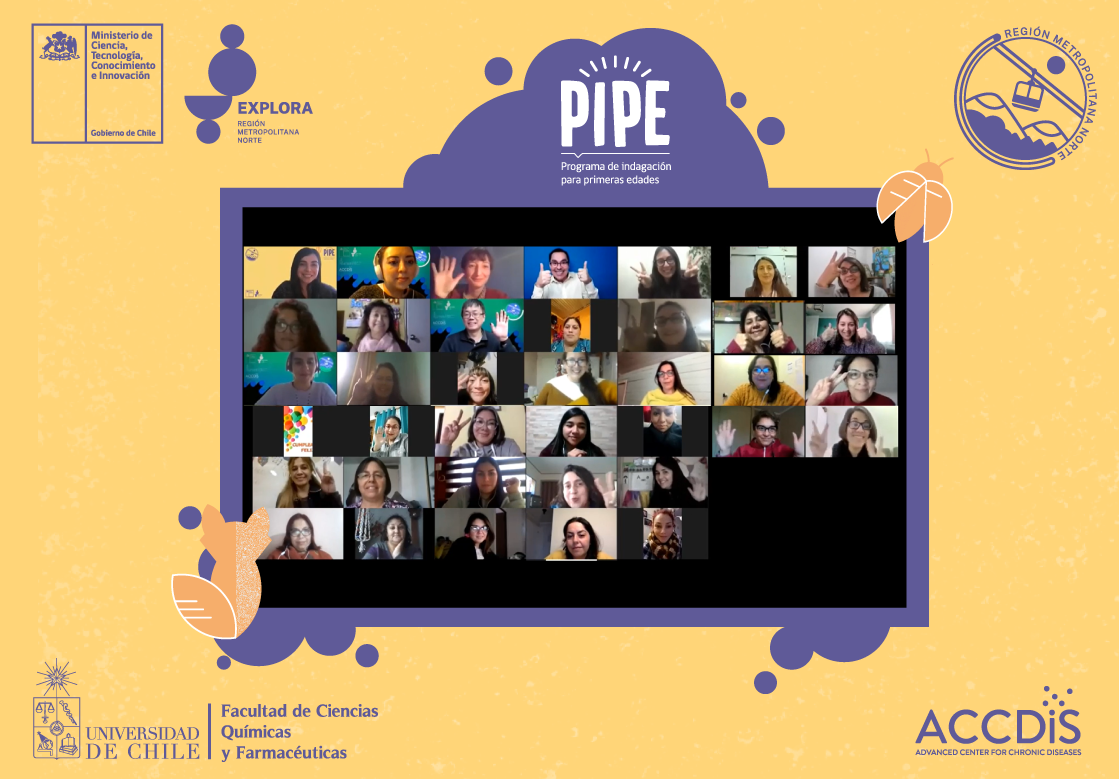 Primer encuentro de PIPE 2021: El inicio de la cruzada por fortalecer las competencias científicas en educación parvularia