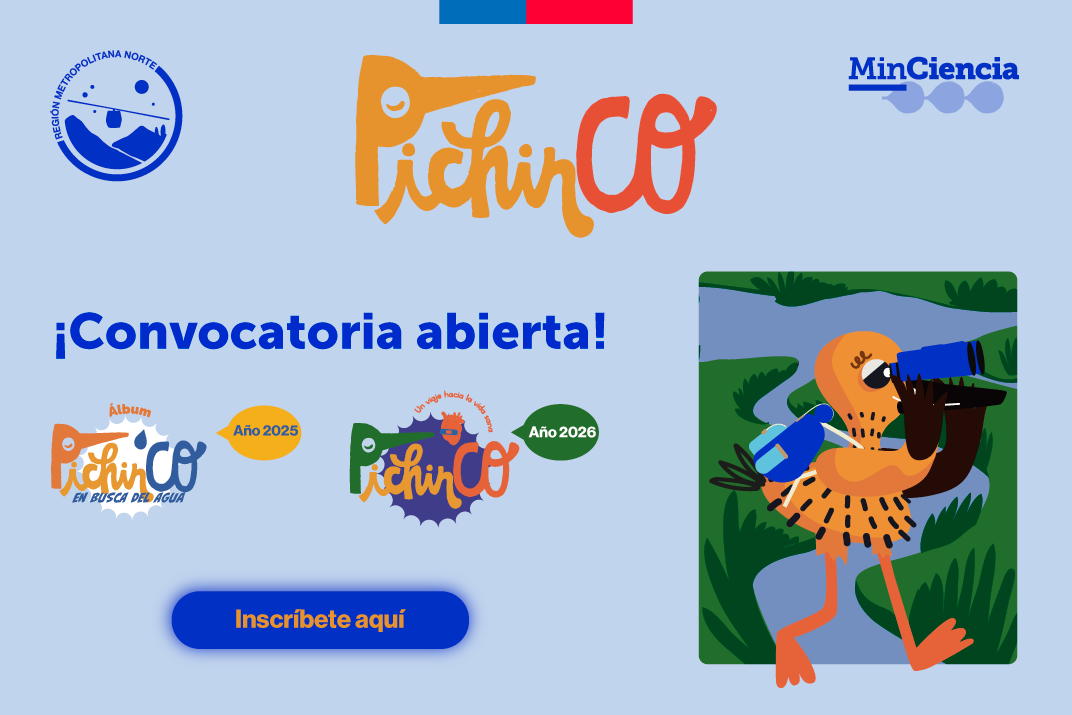 ¡Postula al Programa Educativo Regional “PichinCO”!