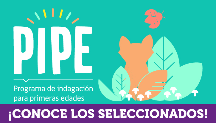Conoce a las seleccionadas que serán parte de PIPE este 2020