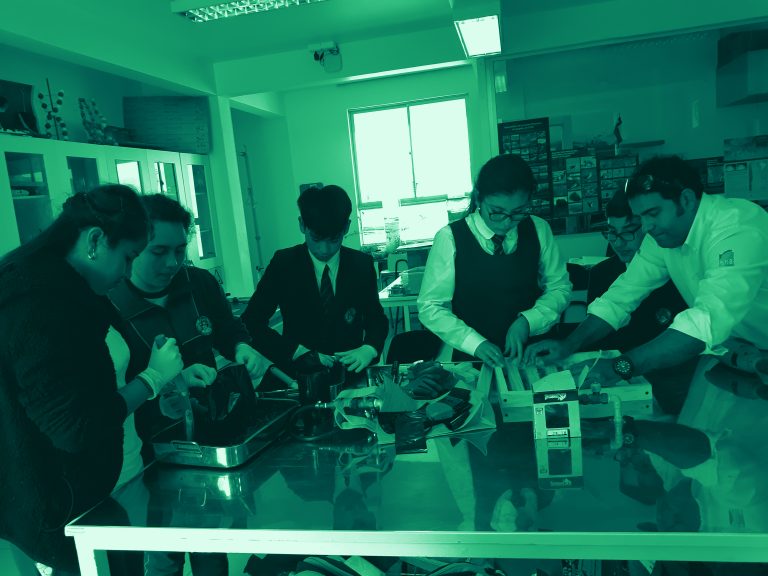 Congreso Regional Escolar de las Ciencias y Tecnología (CRECyT) 2019
