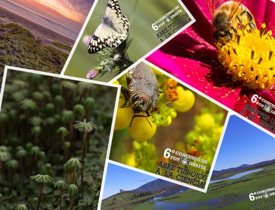 ¡Acá están los ganadores del 6to Concurso de Fotografía “Abre tus ojos a la ciencia”!