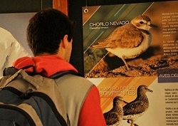 Muestras itinerantes EXPLORA Valparaíso fueron parte de la celebración del Día del Medio Ambiente