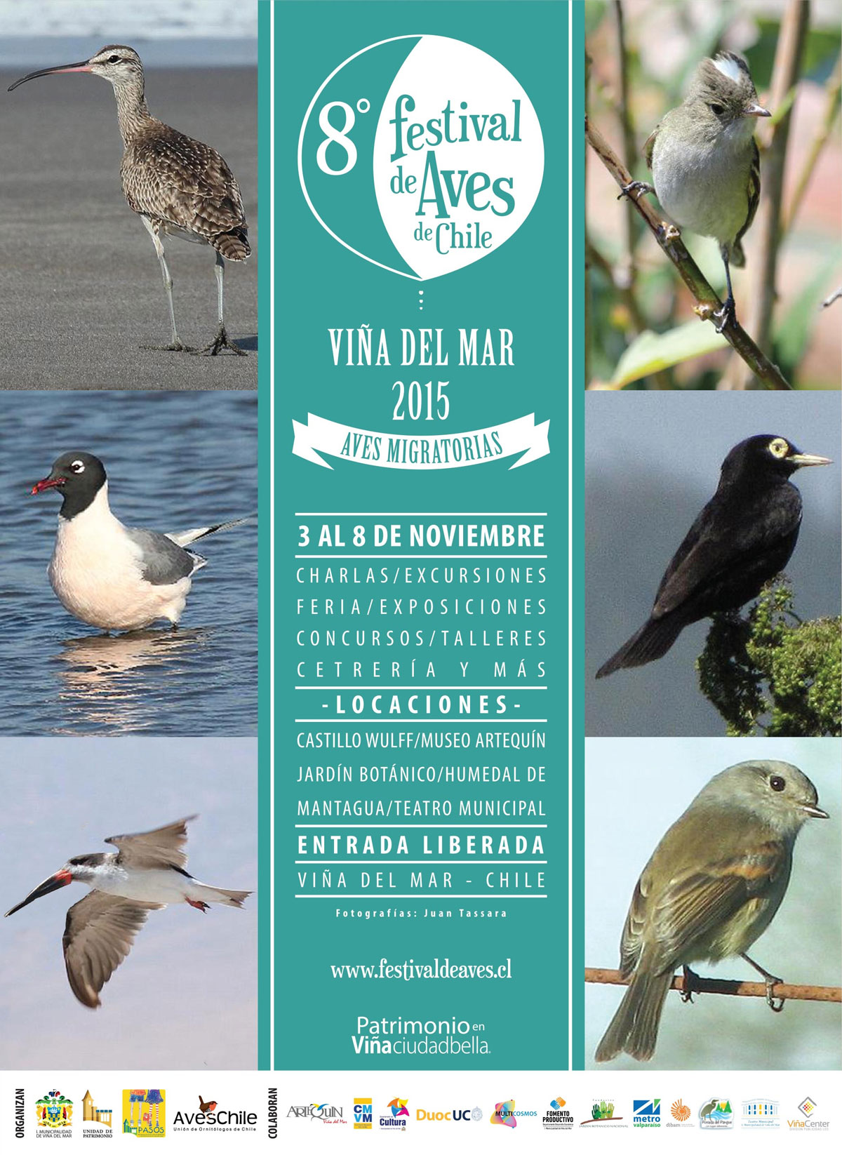 ¡Que no se te pase volando! 8° Festival de Aves de Chile, Viña del Mar 2015