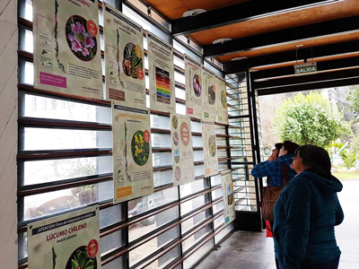 Flora, aves y química se mezclan en Bibliotecas del Aconcagua
