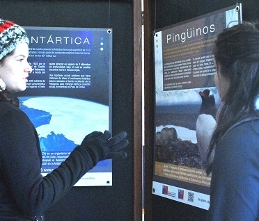 Muestra sobre la Antártica se presenta en invierno en Centro Cultural de San Antonio