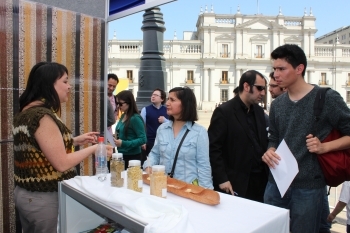 Profesores de la Región de Valparaíso vencieron el frío participando en el Taller Forjadores de Academias Científicas