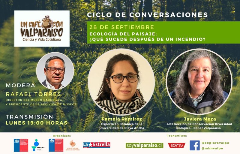 Ecología del paisaje: ¿qué sucede después de un incendio? Súmate a la última conversación de Un Café con Valparaíso