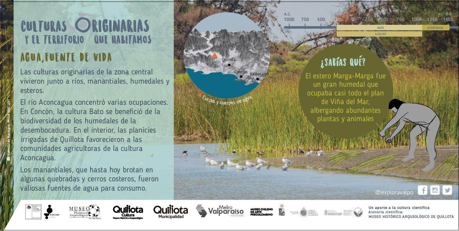 Culturas originarias y cuidado de las plantas: nuevo contenido científico llega a la Región de Valparaíso