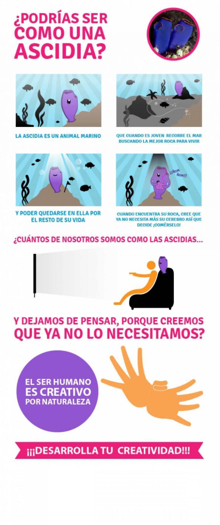 Podrías ser como una Ascidia