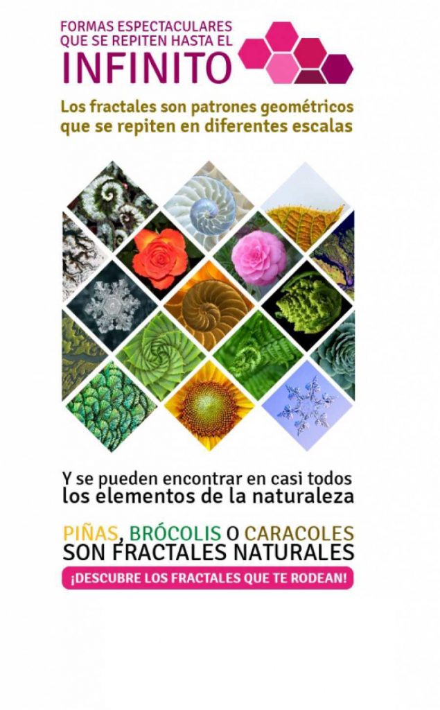 Fractales: Formas Espectaculares que se repiten hast el infinito