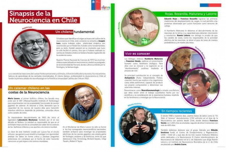 Sinapsis de la Neurociencia en Chile