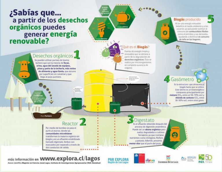 Biogás: generación de energía renovable a partir de desechos orgánicos