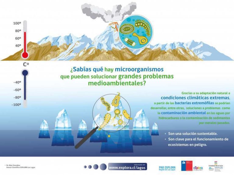 Extremófilos: microorganismos que pueden solucionar grandes problemas medioambientales