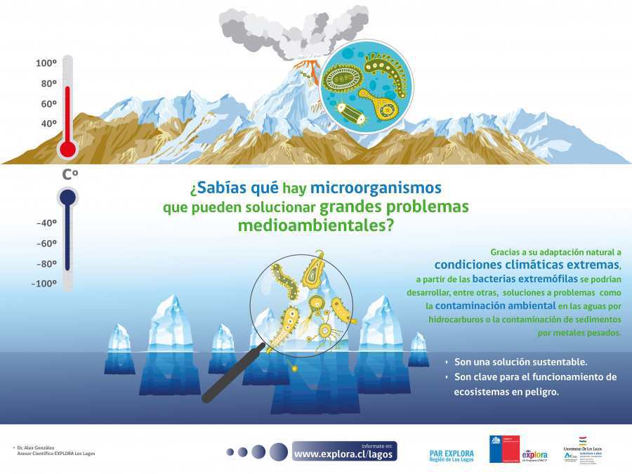 Extremófilos: microorganismos que pueden solucionar grandes problemas medioambientales