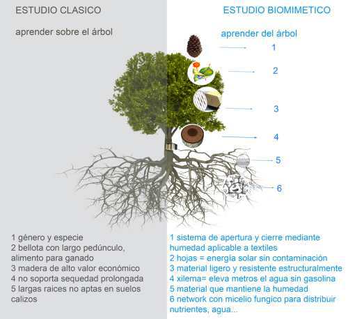 El bosque como sistema