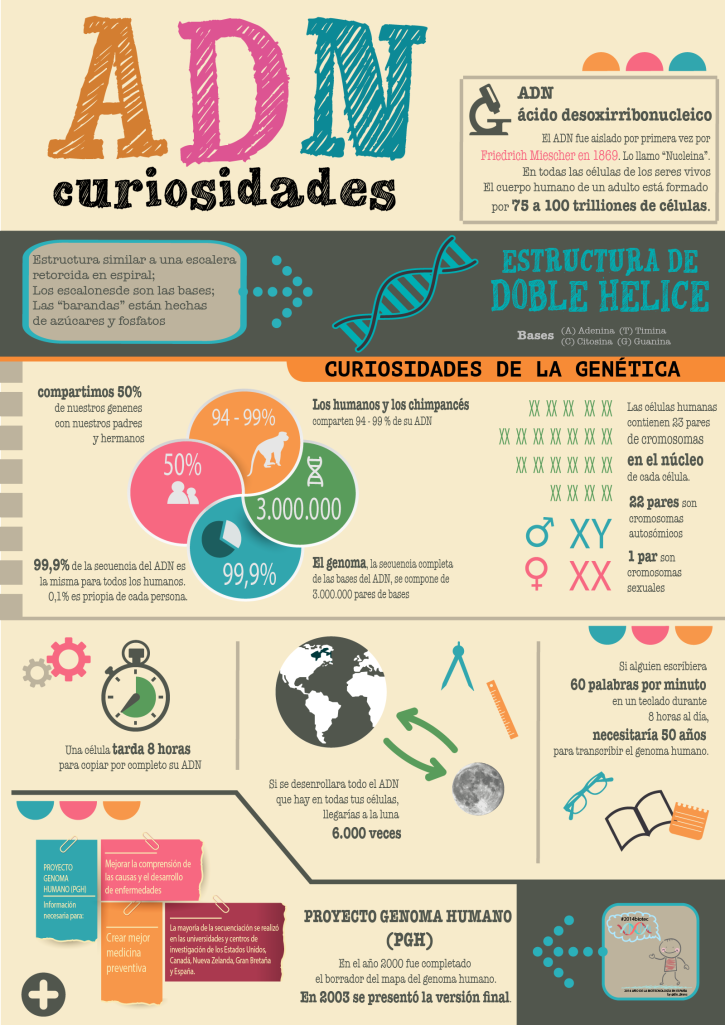 Curiosidades del ADN